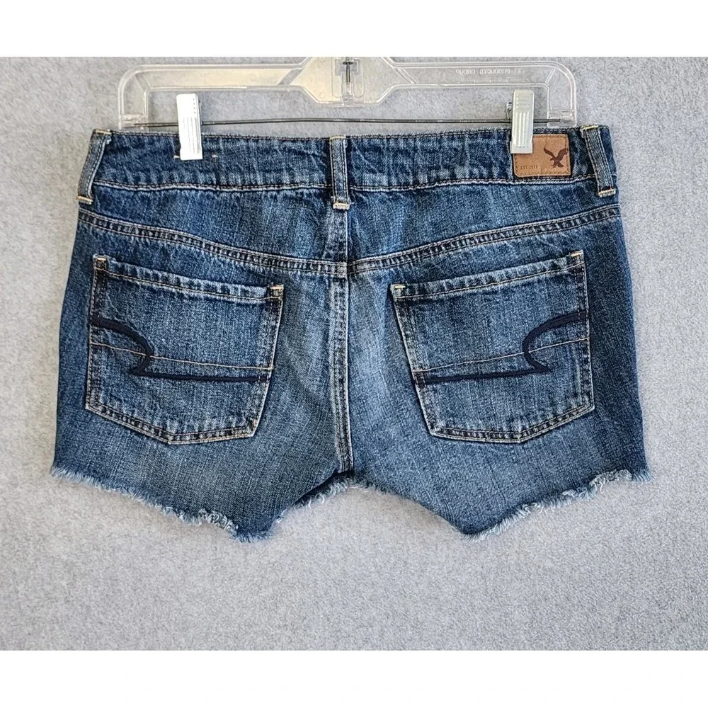 American Eagle Embroidered Floral Distressed Low‎ Rise Denim Shorts Size 6 - Picture 2 of 5